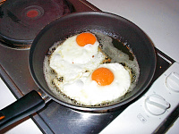 Salz auf das Ei geben